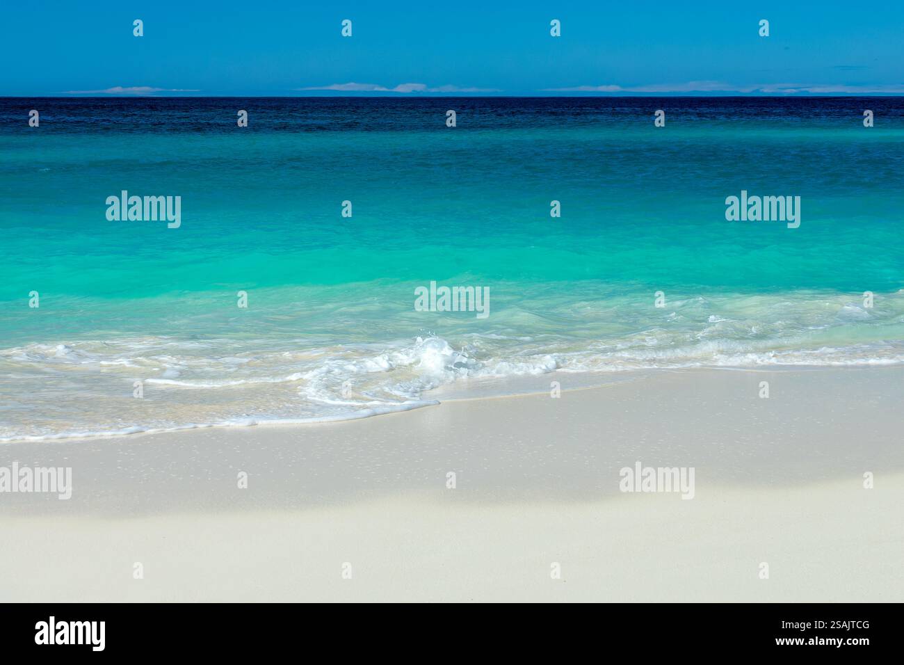 Vista frontale dell'acqua blu trasparente e della sabbia bianca perfetta nella spiaggia di Shoal Bay, sfondo da sogno caraibico nell'isola di Anguilla, nelle Indie occidentali britanniche Foto Stock