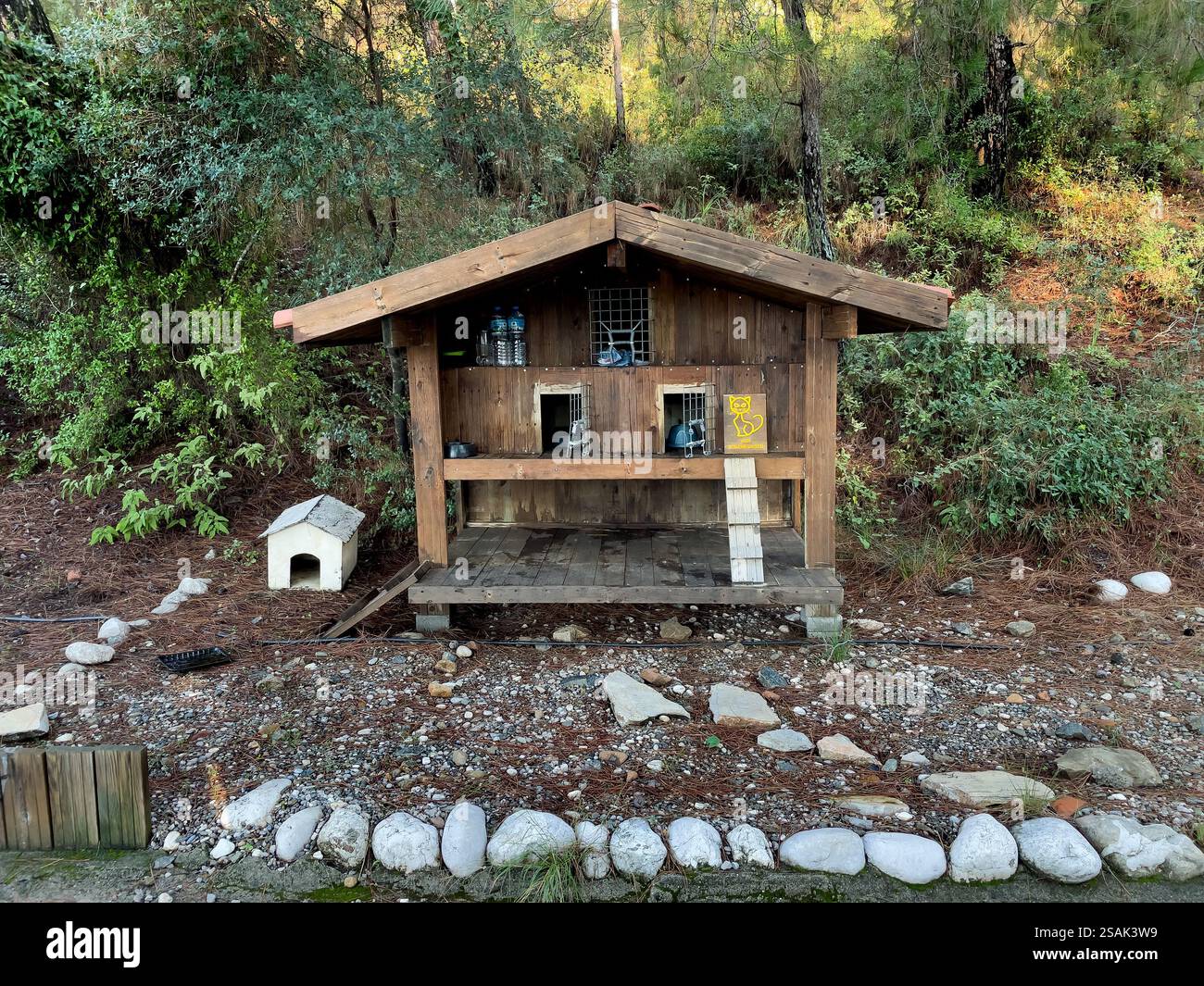 Gocek, Turchia - 5 gennaio 2025 rifugio per gatto randagio all'aperto nella città di Gocek, Dalaman, Mugla, Turchia Foto Stock Gocek, Turchia - 5 gennaio 2025 rifugio per gatto randagio all'aperto nella città di Gocek, Dalaman, Mugla, Turchia Foto Stock