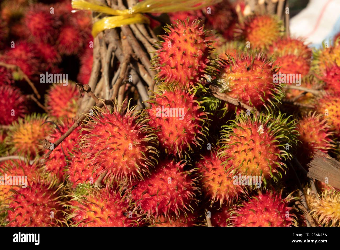 Africa Tanzania, Zanzibar, Stonetown, città vecchia, Mizingani Road, rambutan (shokishoki) frutta Foto Stock