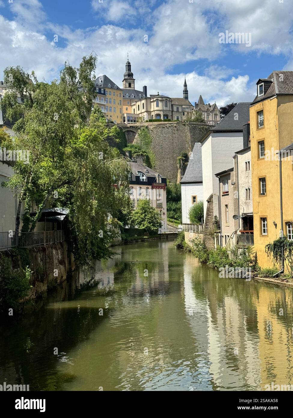 Bellezze naturali - Immagine stock catturata con smartphone