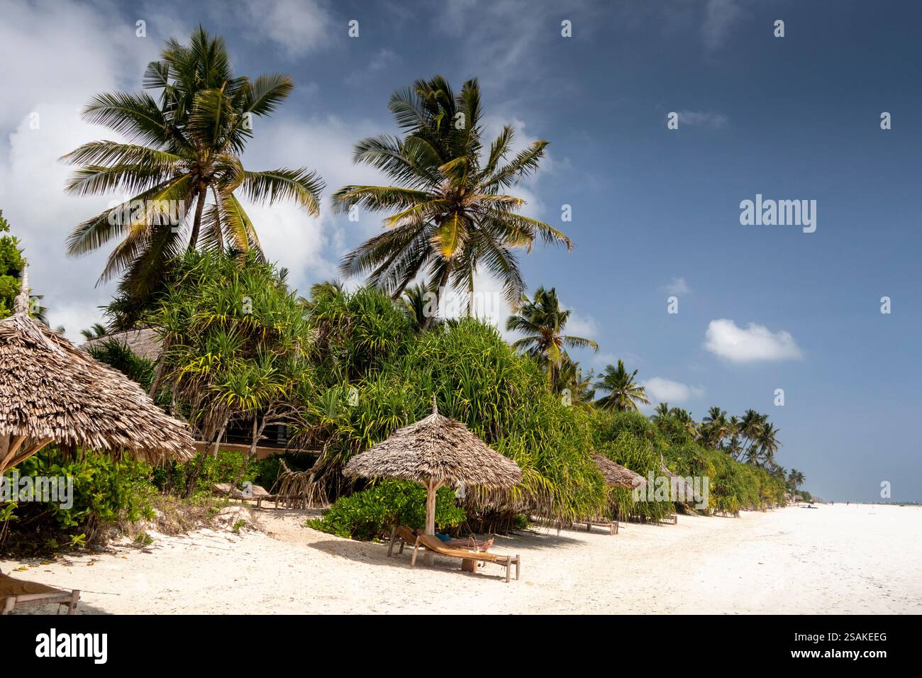 Africa Tanzania, Zanzibar, costa orientale, Matemwe, spiaggia, ombrelloni con foglie di palma all'esterno del resort Foto Stock