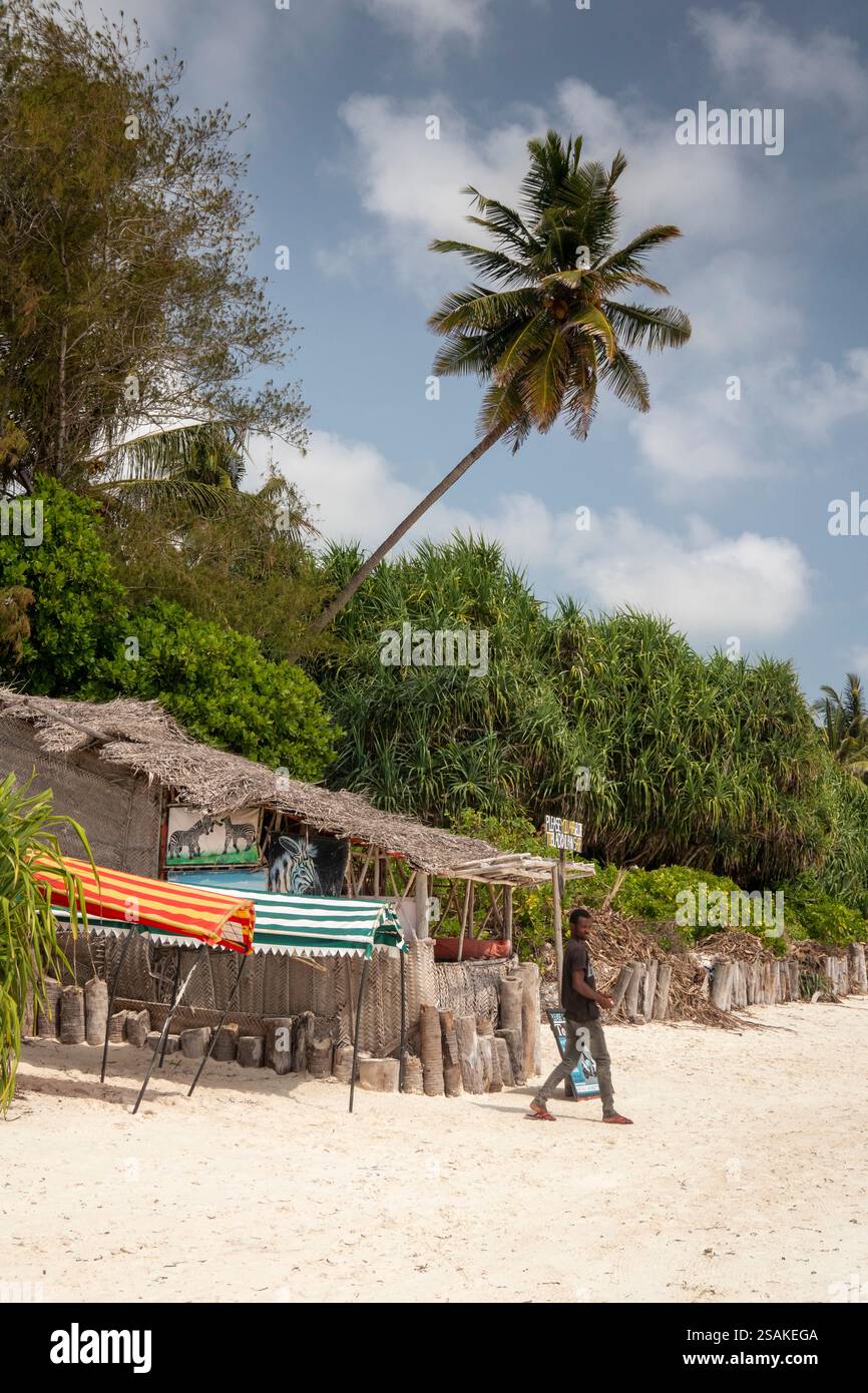 Africa Tanzania, Zanzibar, costa orientale, Matemwe, spiaggia, attività turistiche sotto le palme Foto Stock