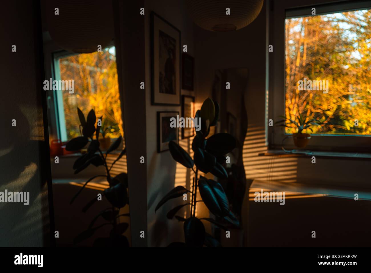 Interni accoglienti con piante e opere d'arte incorniciate che riflettono la calda luce del sole. Le ombre e la luce dorata creano un'atmosfera serena e tranquilla all'interno del ro Foto Stock