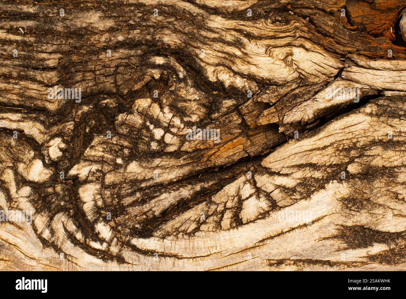 Primo piano del nodo di un vecchio vagone letto. Consistenza di legno vecchio. Foto Stock