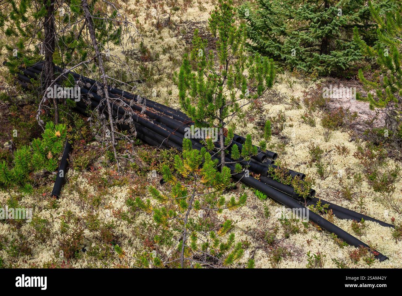 Un mucchio di tubi neri sono stesi a terra in un campo. L'immagine ha un umore cupo e desolato, dato che le pipe sono sparse e abbandonate, suggerisce Foto Stock