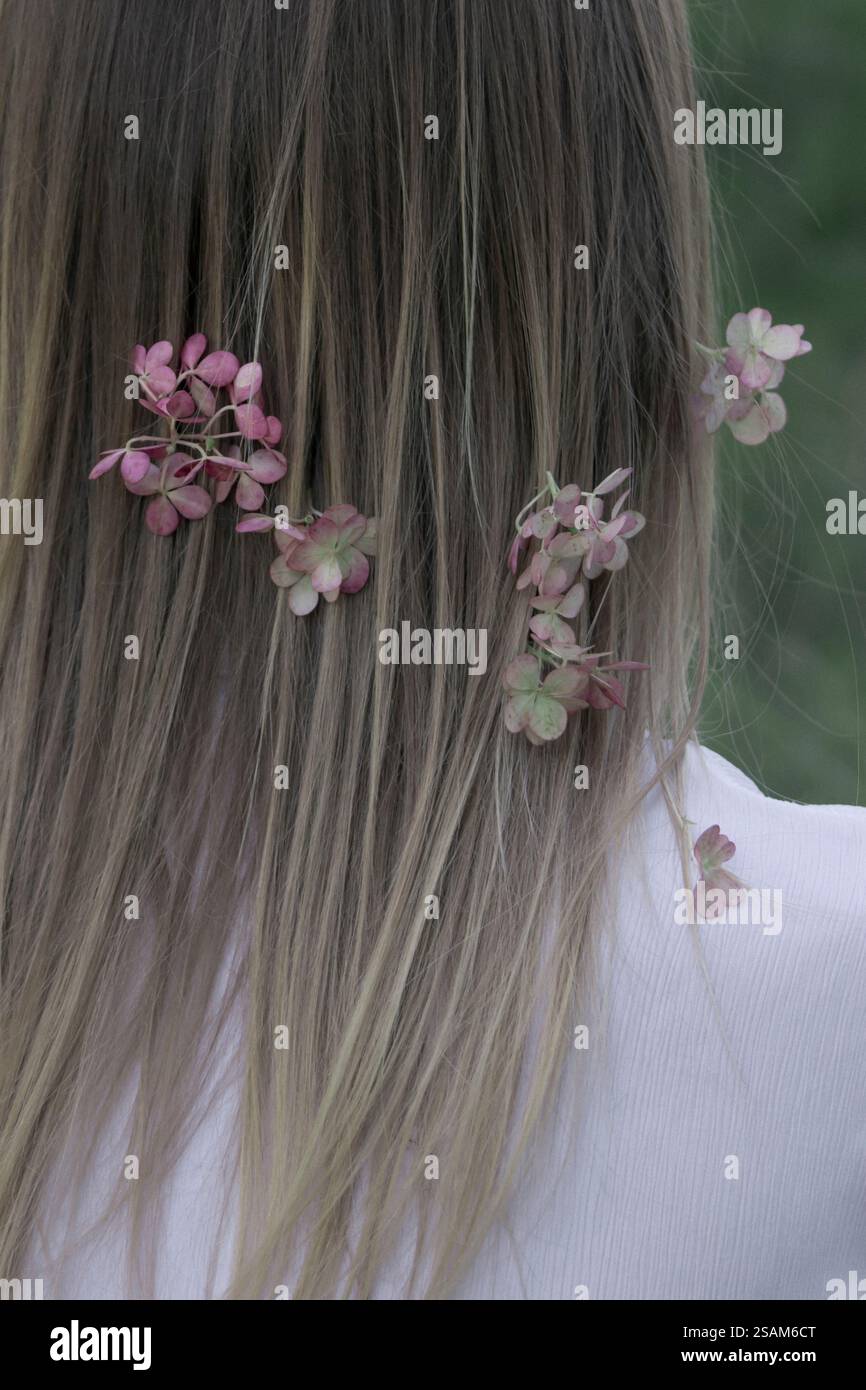 Primo piano dei capelli di una ragazza adornati da delicati fiori di ortensia Foto Stock