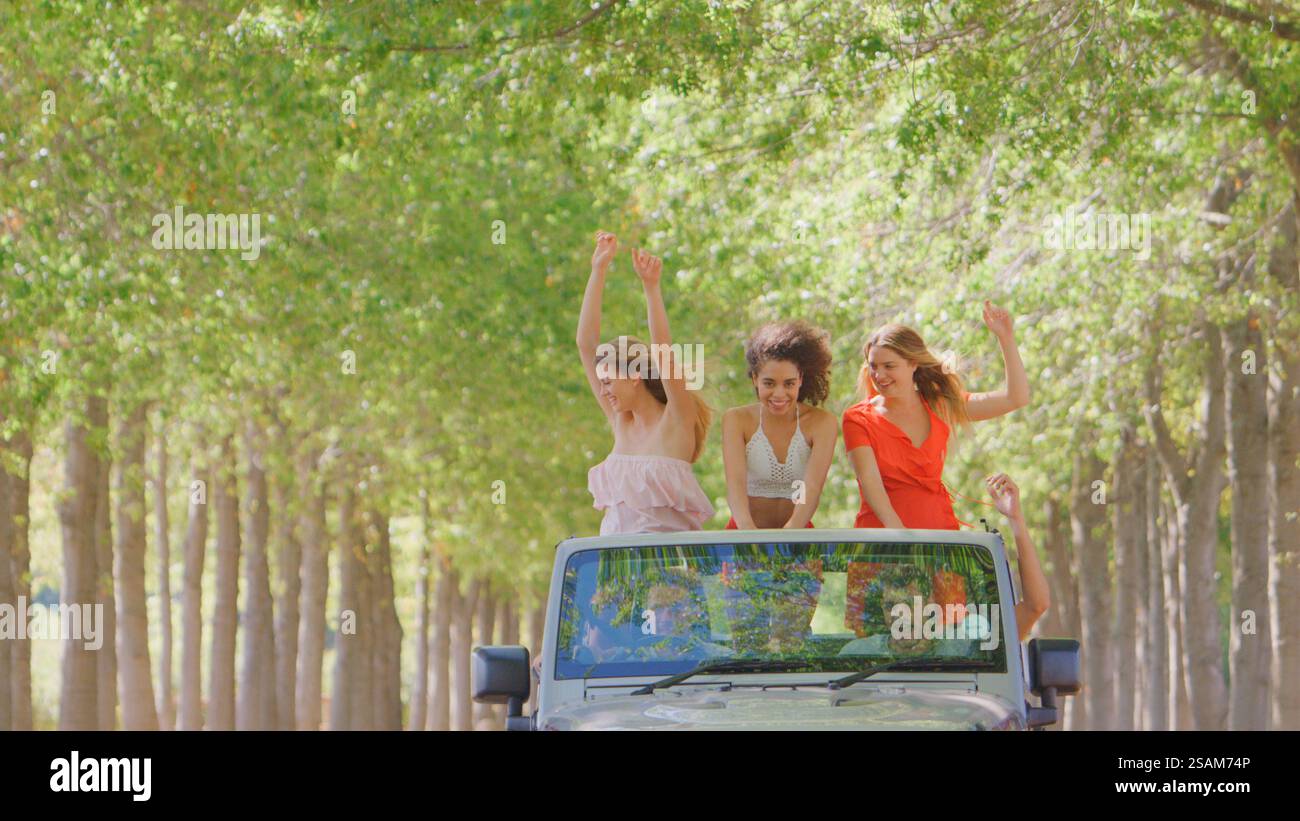 Gruppo di giovani amici in viaggio su strada che guidano in un'auto con capote con donna in piedi sui sedili posteriori Foto Stock