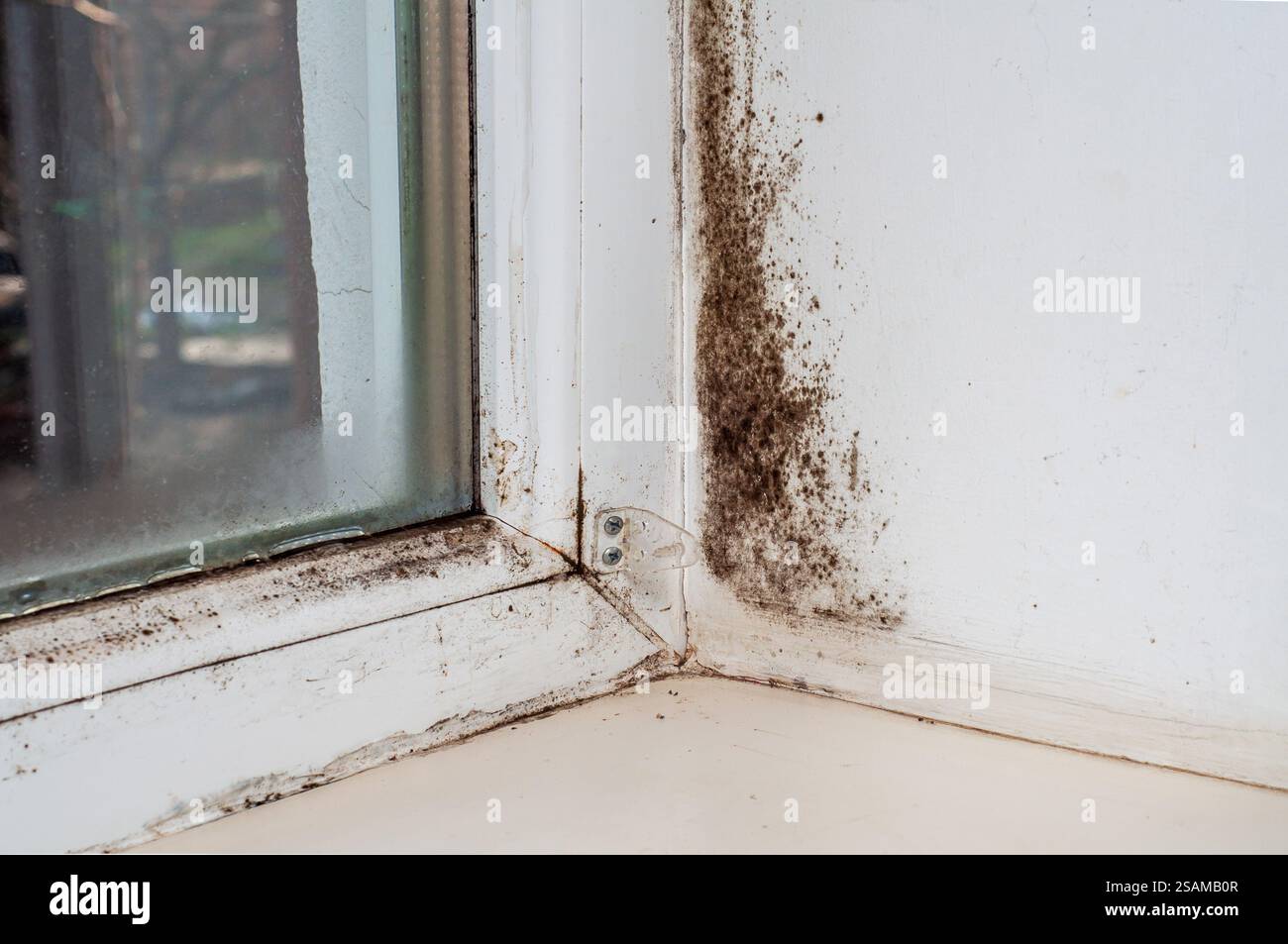 Problema di condensazione invernale sulla finestra, muffa nera, congelamento delle pareti. Foto Stock