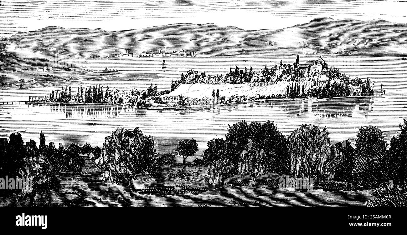 Isola di Mainau con parco e giardini nel lago di Costanza, ponte sulla terraferma, castello, conte Bernadotte, regione di confine, vista delle Alpi, viaggio, Bade Foto Stock