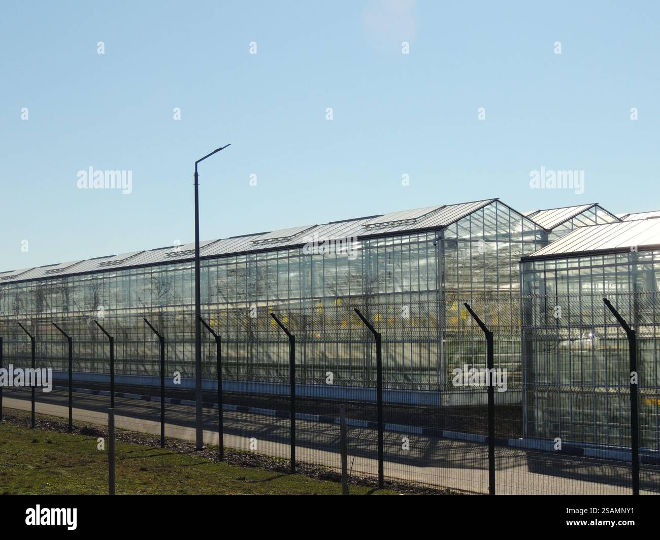 complesso serra in vetro per la coltivazione di verdure o fiori in terreni chiusi con mantenimento costante della temperatura e delle condizioni di luce Foto Stock