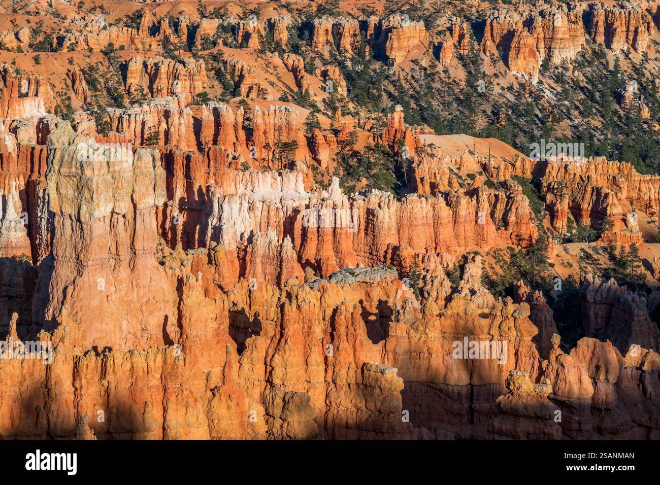 Vista sull'anfiteatro, sul Bryce Canyon National Park, Utah, Stati Uniti Foto Stock