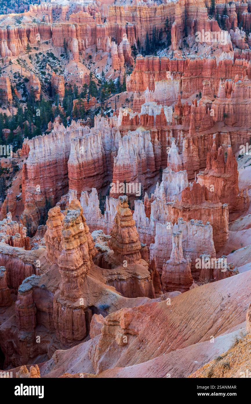Vista sull'anfiteatro, sul Bryce Canyon National Park, Utah, Stati Uniti Foto Stock