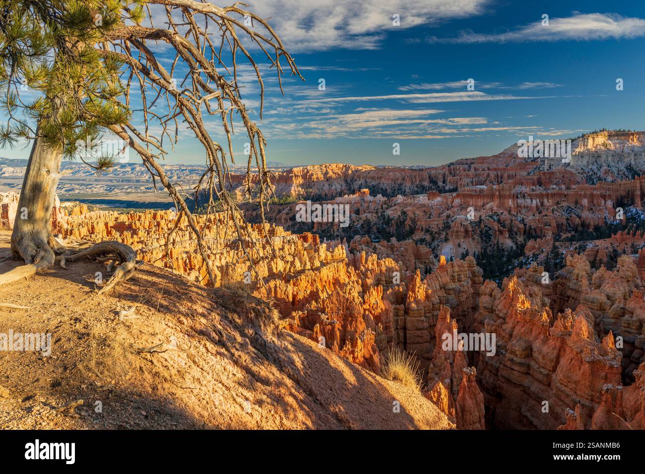 Vista panoramica sull'anfiteatro, sul Bryce Canyon National Park, Utah, Stati Uniti Foto Stock