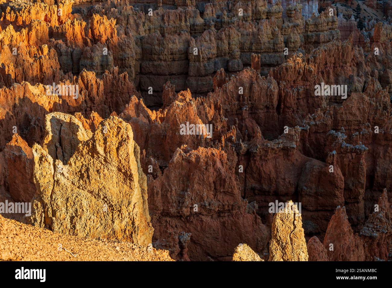 Vista panoramica sull'anfiteatro, sul Bryce Canyon National Park, Utah, Stati Uniti Foto Stock