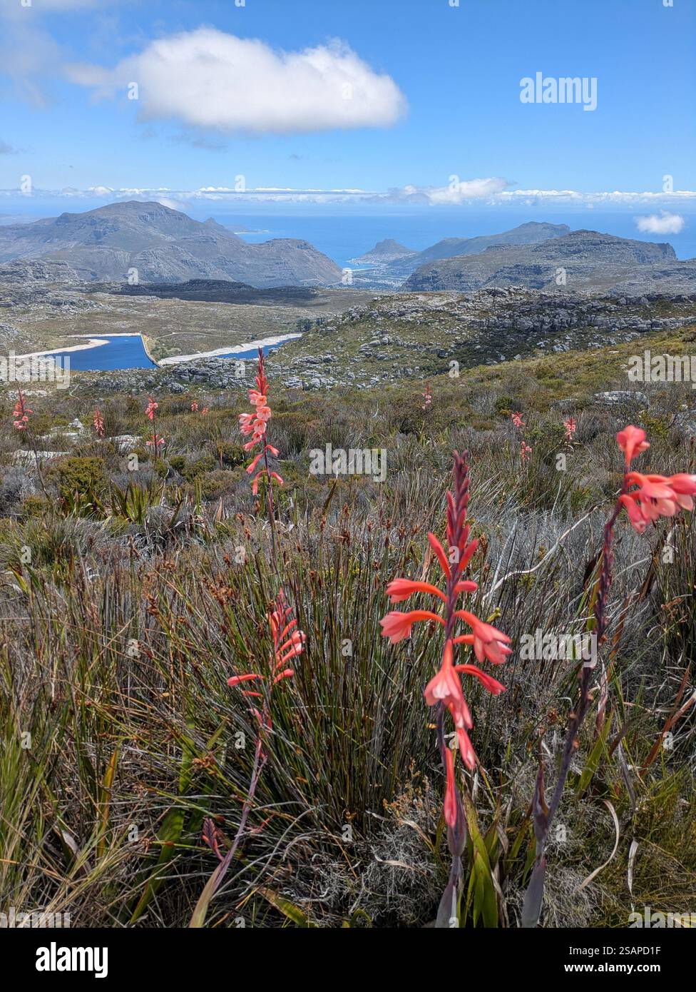 Escursioni a Table Mountain Foto Stock