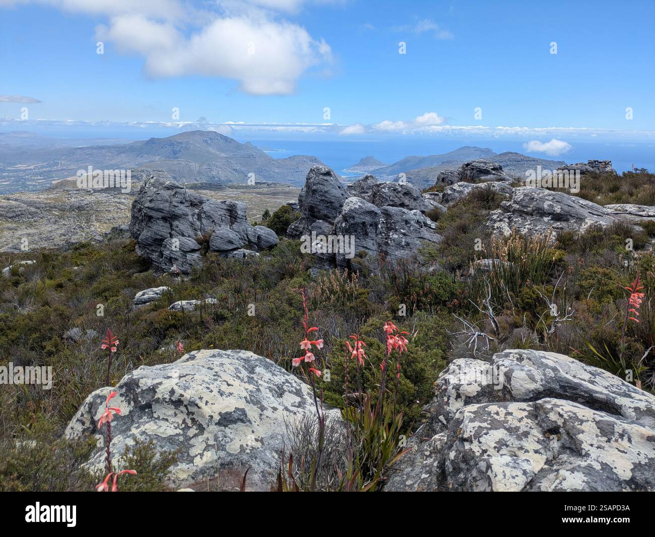 Escursioni a Table Mountain Foto Stock