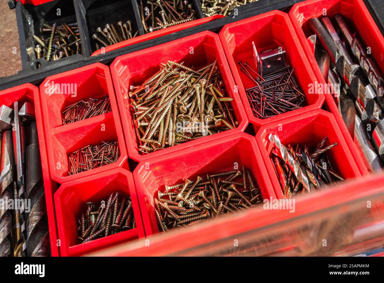 Varie viti e punte sono disposte in modo ordinato in scomparti di una cassetta degli attrezzi rossa, ideale per progetti di miglioramento domestico o di costruzione. Foto Stock