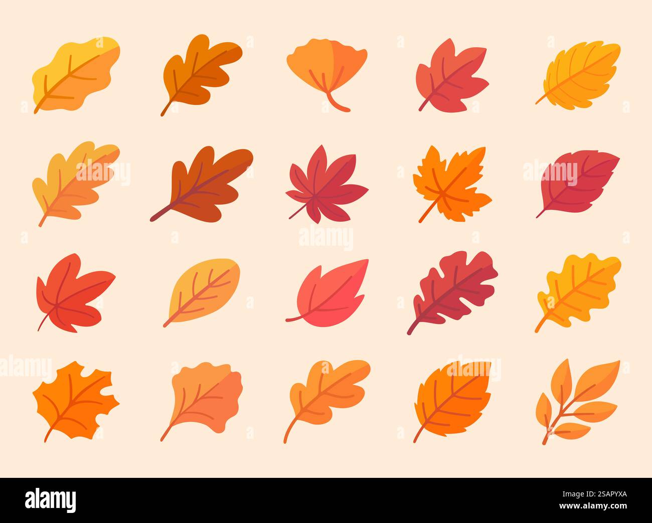 Collezione di foglie autunnali foglie di acero arancio in autunno design semplice Illustrazione Vettoriale