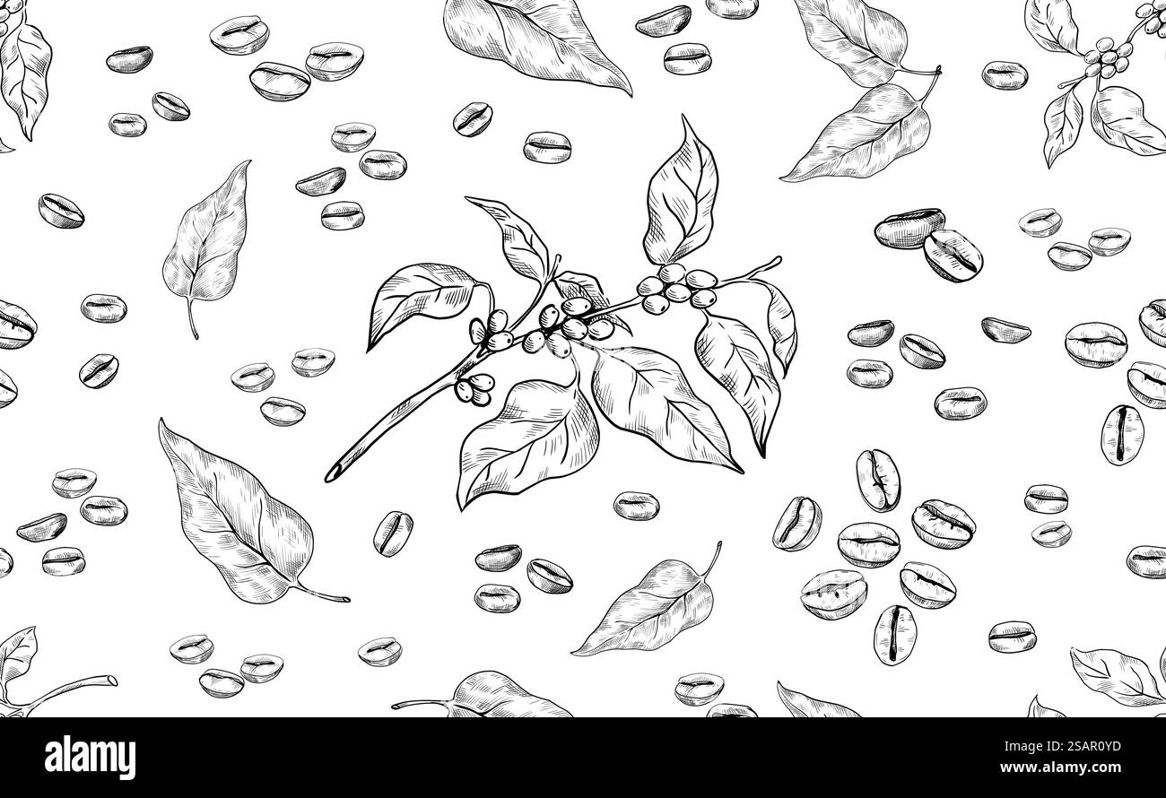 Schema del caffè. Grani di arabica trafilati a mano senza cuciture. Ramo naturale dell'albero e foglie. Semi aromatici tostati. Ingrediente organico bianco e nero per la preparazione di bevande a base di espresso. Sfondo vettoriale. Schema del caffè. Grani di arabica trafilati a mano senza cuciture. Ramo d'albero e foglie. Semi aromatici tostati. Ingrediente bianco e nero per la preparazione di una bevanda espresso. Sfondo vettoriale Illustrazione Vettoriale