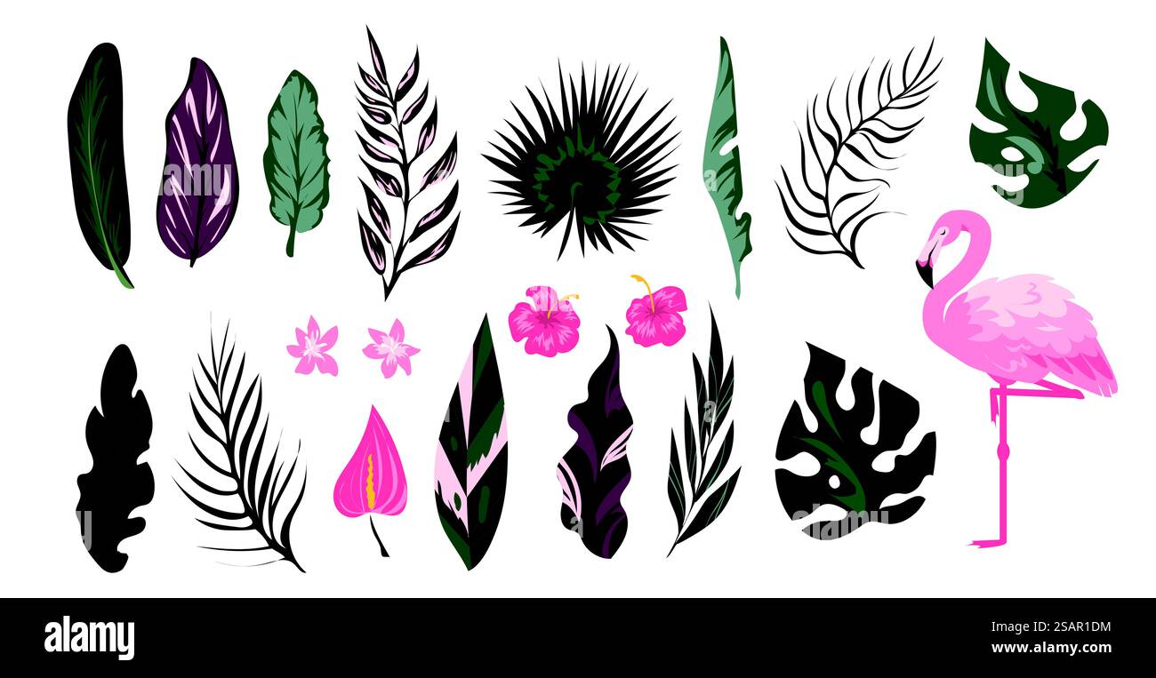 Collezione tropicale Flamingo. Uccello esotico con foglie di palma. Set di flora e fauna tropica dei cartoni animati. Carini animali rosa. Vegetazione verde giungla. Fiori in fiore. Elementi della foresta pluviale isolati dal vettore. Collezione tropicale Flamingo. Uccello esotico con foglie di palma. Set di flora e fauna tropica dei cartoni animati. Animali rosa. Vegetazione verde giungla. Fiori in fiore. Elementi della foresta pluviale vettoriale Illustrazione Vettoriale