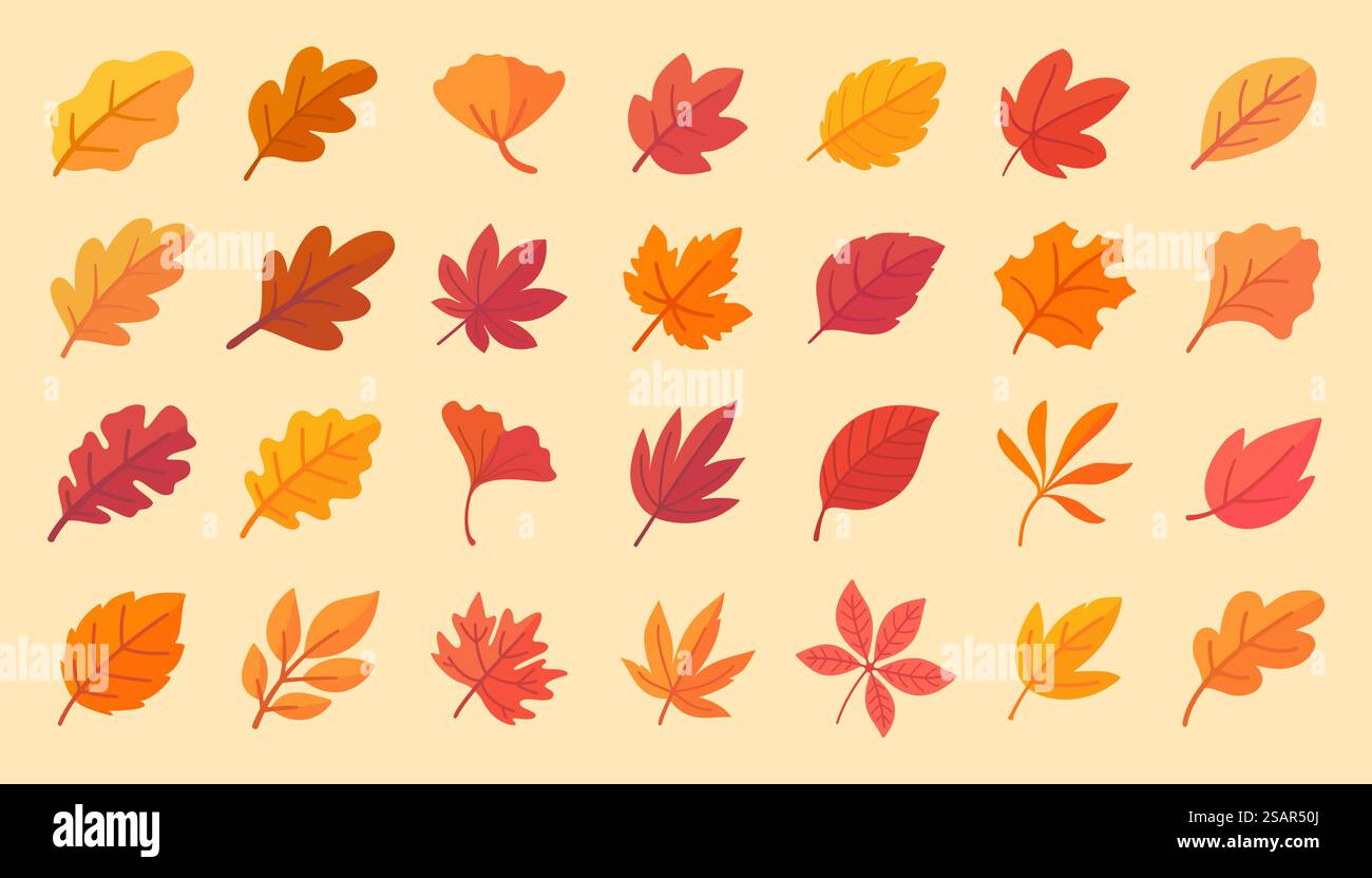 Collezione di foglie autunnali foglie di acero arancio in autunno design semplice Illustrazione Vettoriale