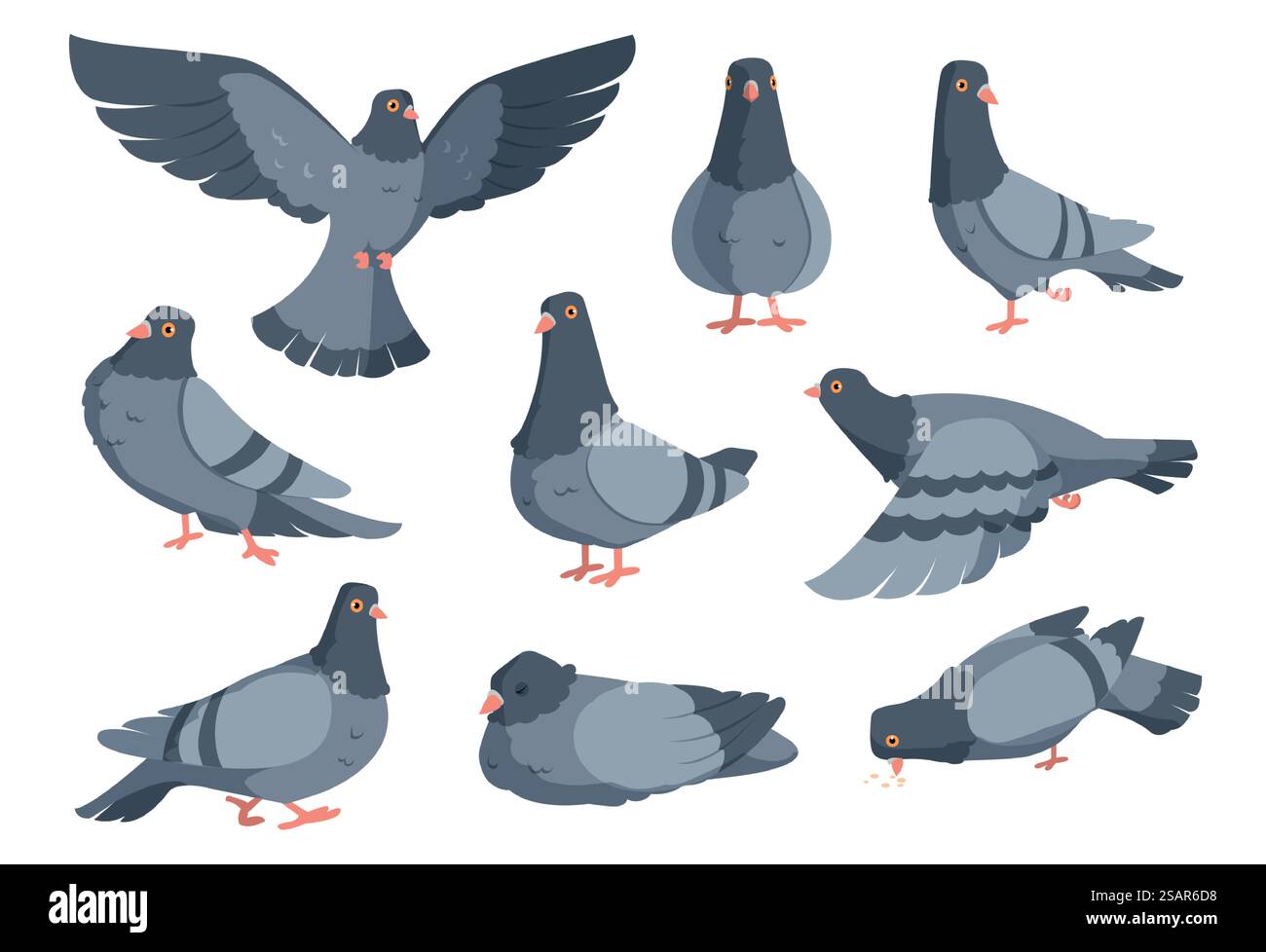 Cartoni animati colomba. Simpatici personaggi di piccione. Animale volante in pose diverse. Creature alate selvatiche isolate si aprono in piedi e mangiano sul bianco. Collezione di fauna urbana. Gli uccelli vettoriali della città si radunano in volo. Cartoni animati colomba. Simpatici personaggi di piccione. Animale volante in pose diverse. Creature selvagge alate si alzano in piedi e mangiano sul bianco. Collezione di fauna urbana. Gli uccelli vettoriali della città si radunano in volo Illustrazione Vettoriale