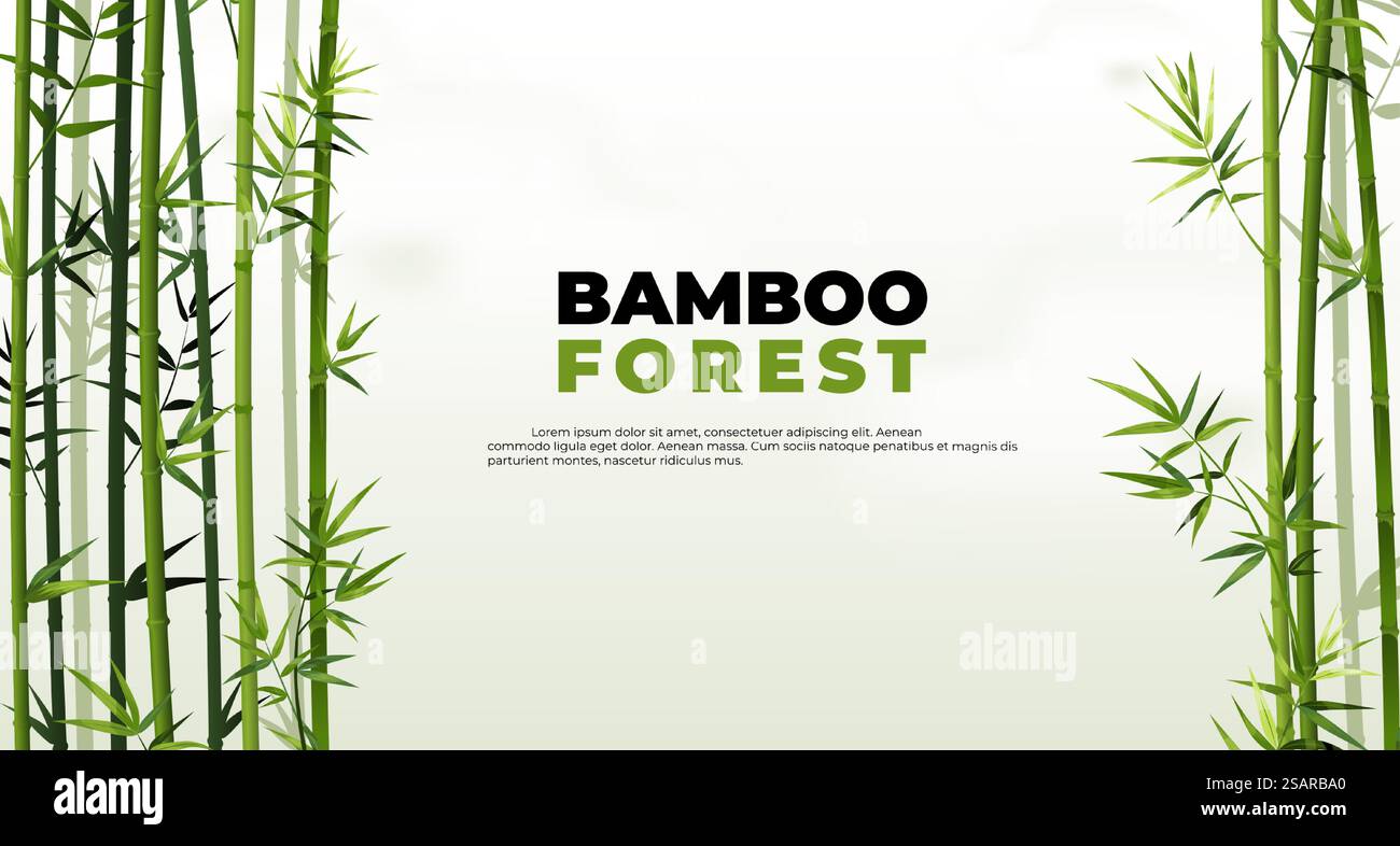 Banner foresta di bambù. Piante tropicali dell'Asia orientale. Elementi del bordo dell'albero e foglie verdi. Tronchi dritti e fogliame. Poster vettoriale giapponese o cinese naturale con lettere e spazio per le copie. Banner foresta di bambù. Piante tropicali dell'Asia orientale. Elementi e lamelle del bordo dell'albero. Tronchi dritti e fogliame. Poster vettoriale in giapponese o cinese con lettere e spazio di copia Illustrazione Vettoriale