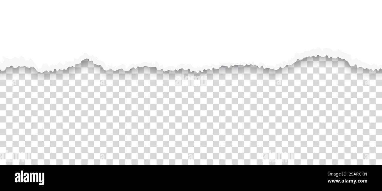 Carta strappata. Bordo del foglio strappato su sfondo trasparente. Pagina vuota con linea di divisione ruvida orizzontale. Modello di pezzo di cartone intrecciato bianco. Frammento di documento vuoto. Disegno del bordo di grunge vettoriale. Carta strappata. Bordo del foglio strappato su sfondo trasparente. Pagina con linea di divisione ruvida orizzontale. Pezzo di cartone intrecciato bianco. Frammento di documento vuoto. Disegno del bordo di grunge vettoriale Illustrazione Vettoriale