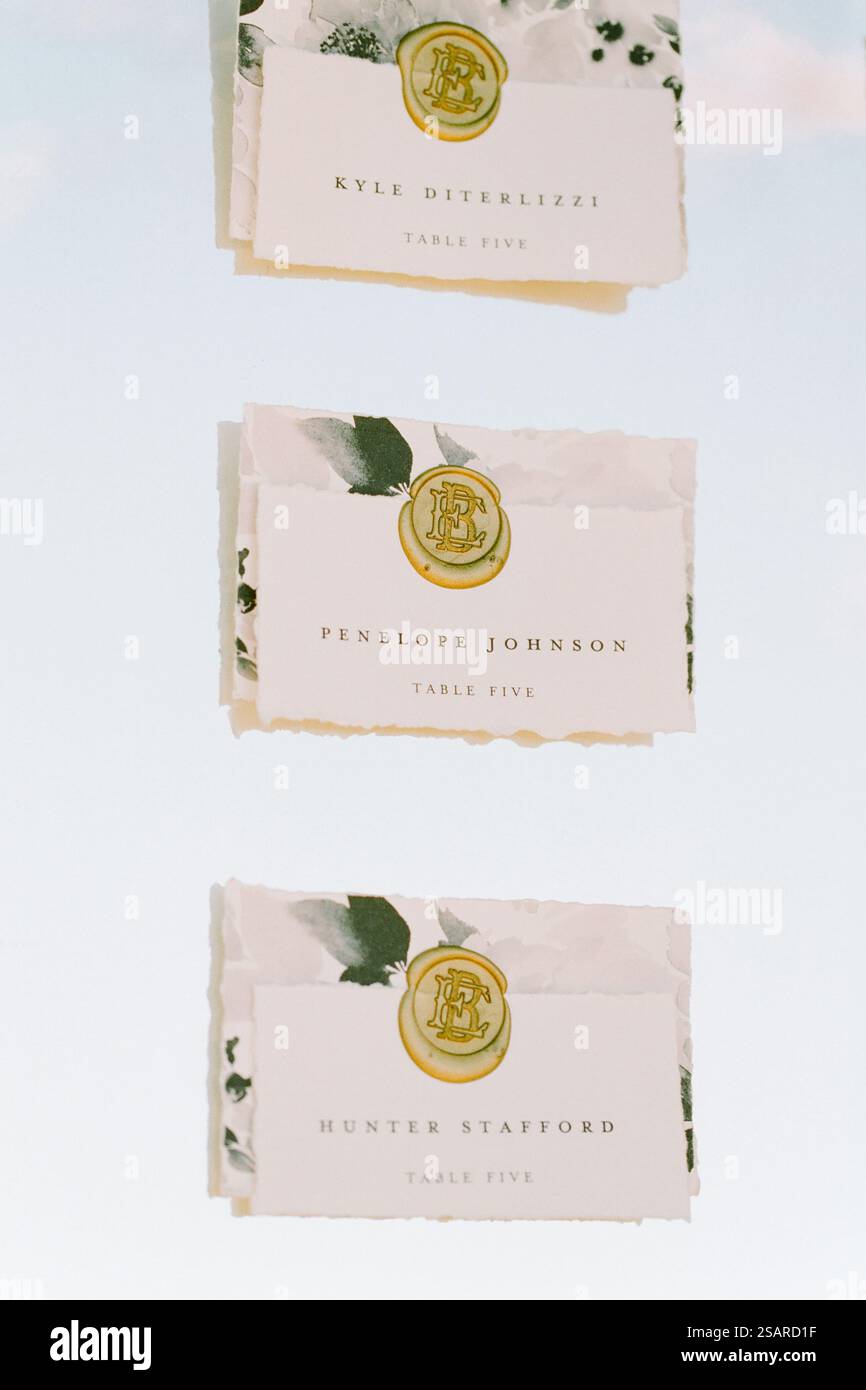 Le cartoline ben disposte presentano nomi eleganti per il tavolo cinque, che presentano un design sofisticato con dettagli floreali su uno sfondo morbido Foto Stock