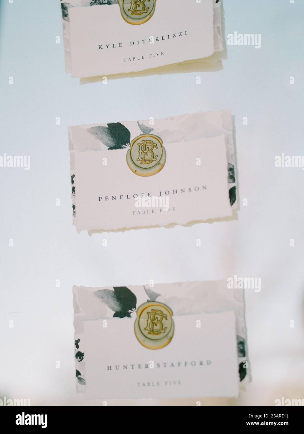 Le schede con i nomi degli ospiti sono disposte artisticamente e presentano un design elegante per un'occasione speciale che si tiene all'aperto. L'atmosfera è refin Foto Stock