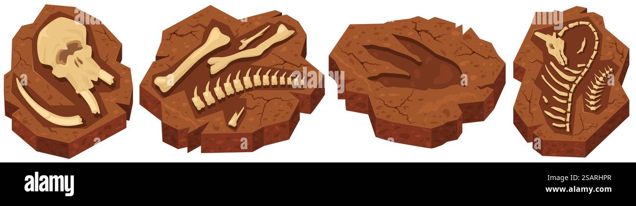 Ossa fossili di scavi archeologici di dinosauri in pietra ammonitica. Studio e apprendimento di animali antichi illustrazione vettoriale di creature del periodo giurassico. Ossa fossili di scavi archeologici di dinosauri in pietra ammonitica Illustrazione Vettoriale