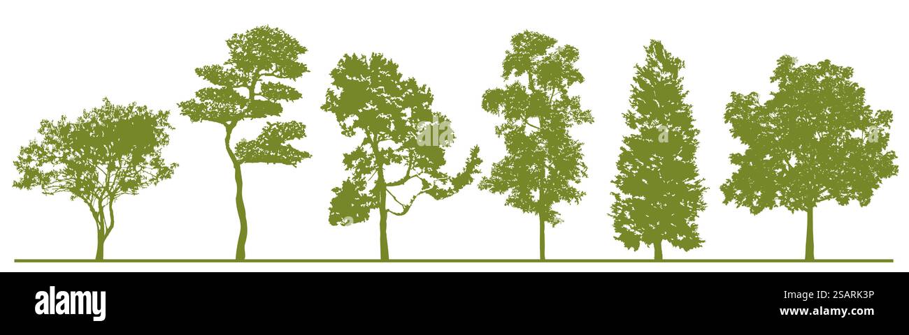 Sagome dettagliate dell'albero. Set di alberi verdi con silhouette isolate su sfondo bianco. Raccolta di alberi boschivi di forme diverse. Gli elementi possono essere spostati per il progetto. EPS10 vettoriale Illustrazione Vettoriale