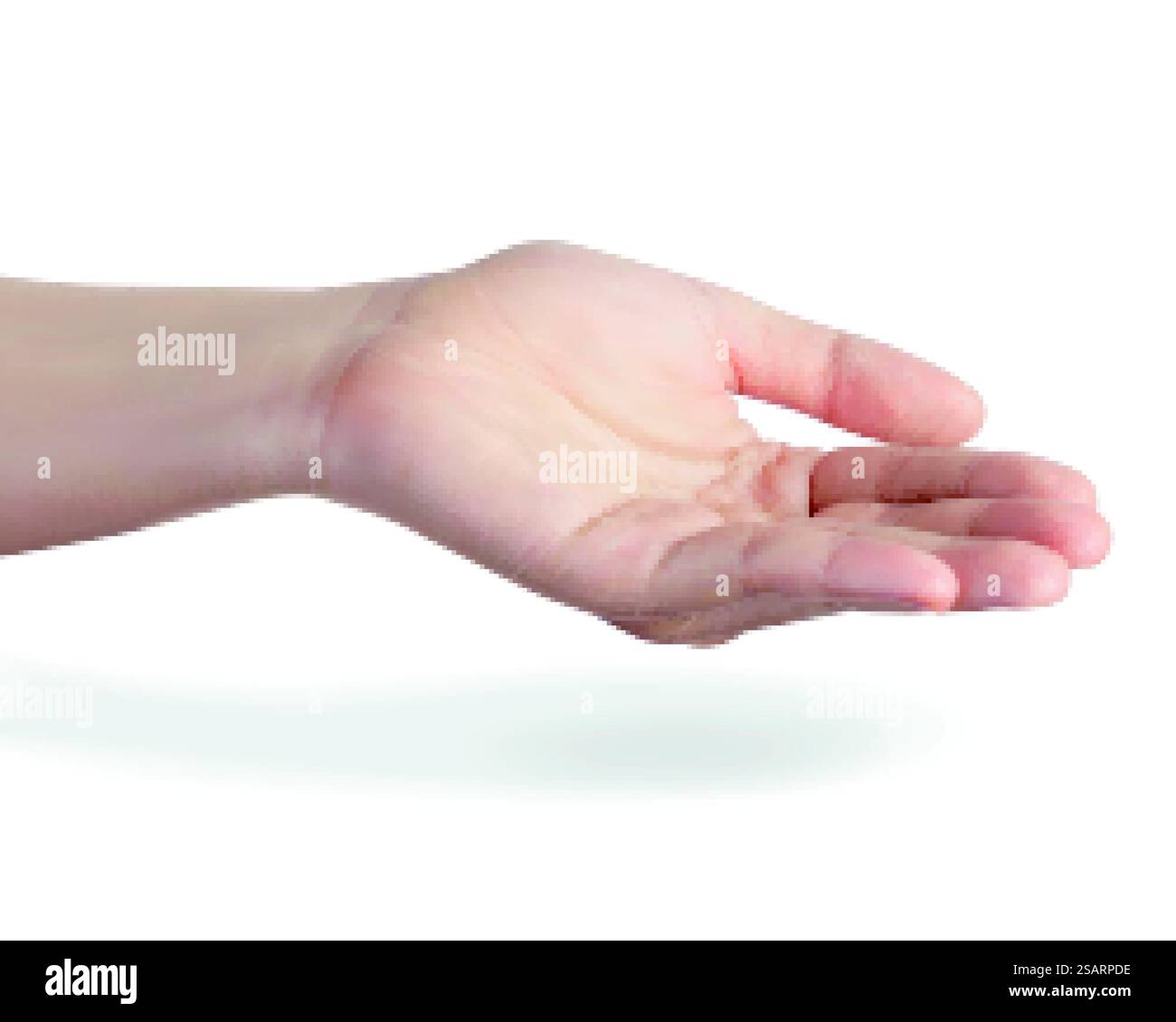 Realistica illustrazione 3D femmina a mano aperta isolata su sfondo bianco. Realistica mano aperta femminile in 3D. Illustrazione Vettoriale