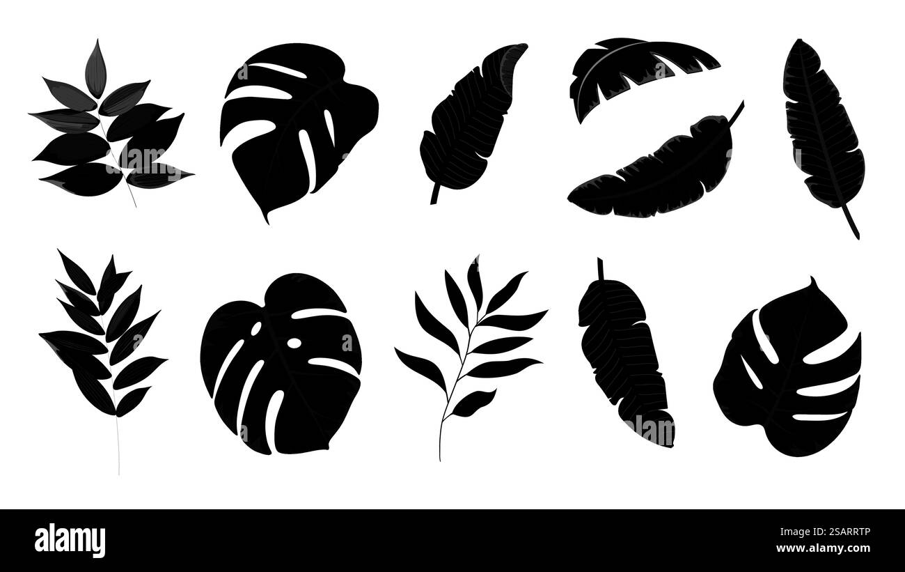Set di vettori di foglie tropicali. Collezione di silhouette con foglie nere. Foglie di palma e banana EPS10 Illustrazione Vettoriale