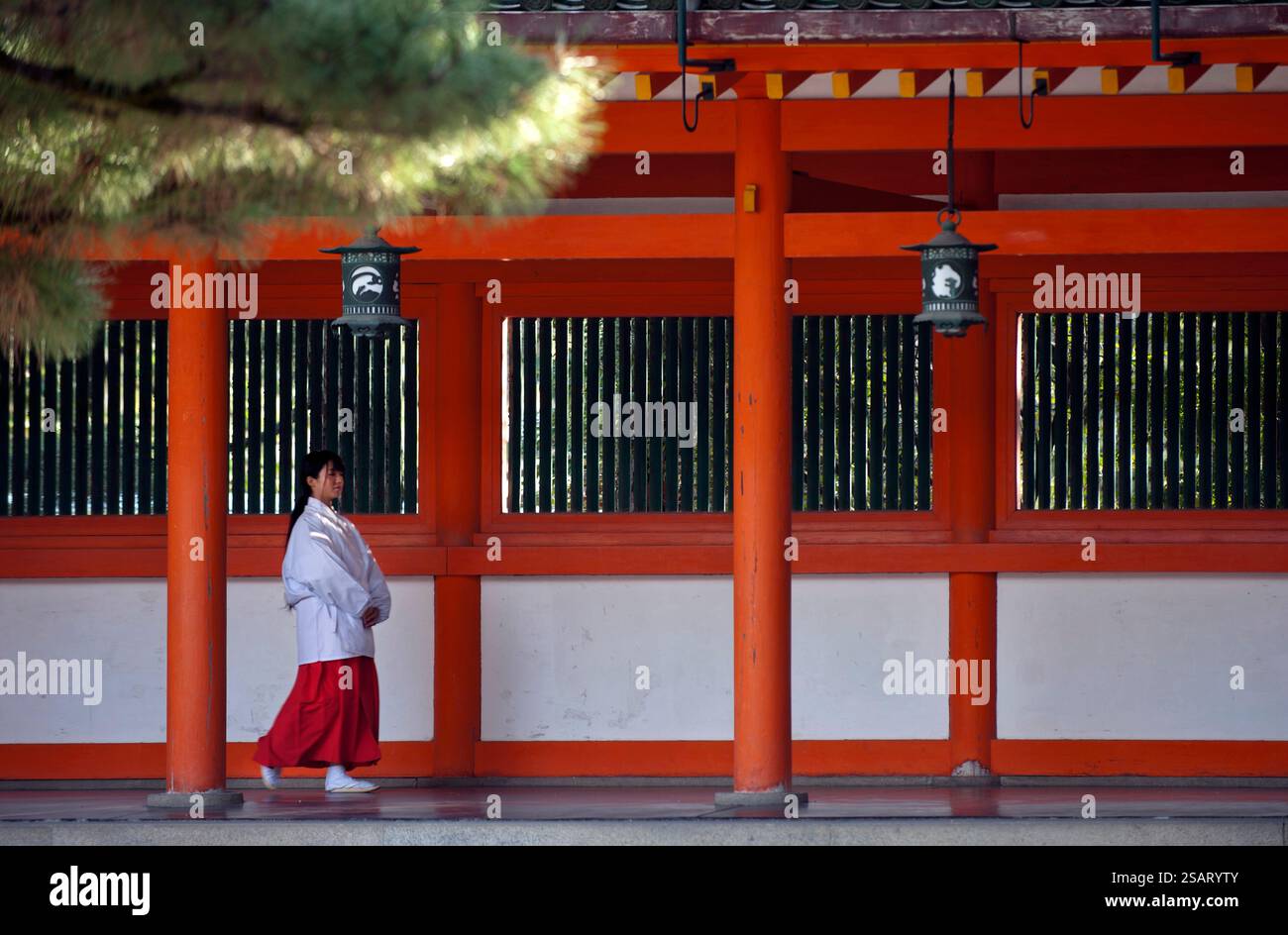 La fanciulla del Santuario ('miko') vestita con tradizionale hakama rosso e kosode bianco che cammina sotto un corridoio coperto al santuario shintoista Heian Jingu, Kyoto, Giappone. Foto Stock