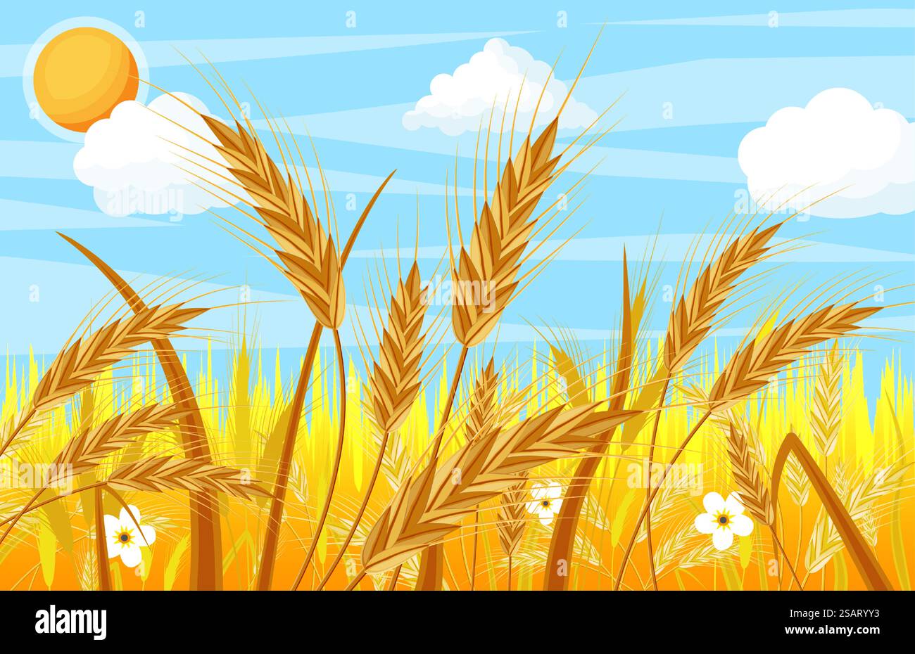 Grano nei campi. Paesaggio naturale con raccolto di orecchie. Gambi interi, orecchie di grano Spikelets con semi e fiori. Prodotti da forno, pasticceria e cereali. Mucchio di avena con cereali. Illustrazione vettoriale in stile piatto. Grano nei campi. Paesaggio con raccolto di orecchie. Illustrazione Vettoriale
