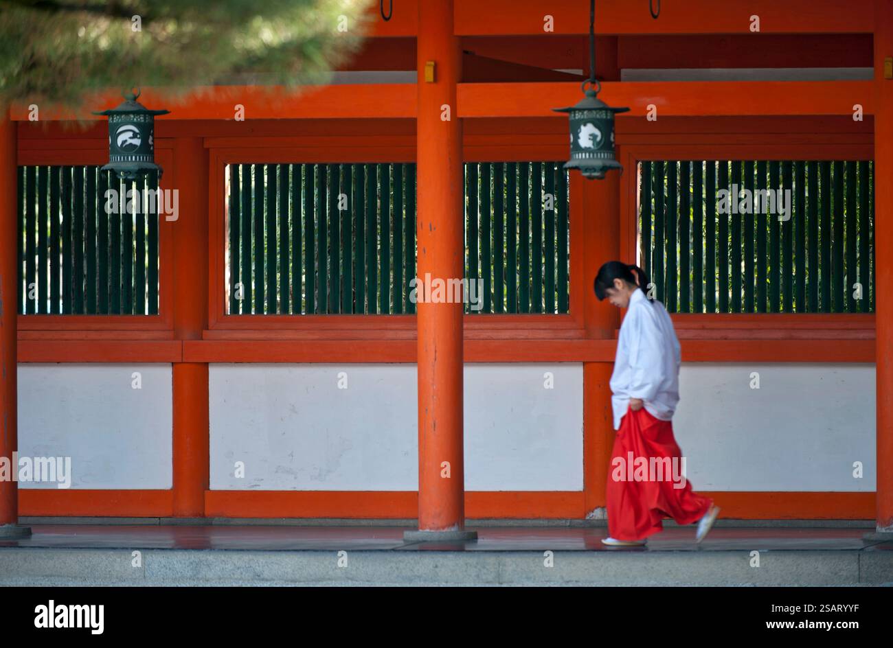 La fanciulla del Santuario ('miko') vestita con tradizionale hakama rosso e kosode bianco che cammina sotto un corridoio coperto al santuario shintoista Heian Jingu, Kyoto, Giappone. Foto Stock