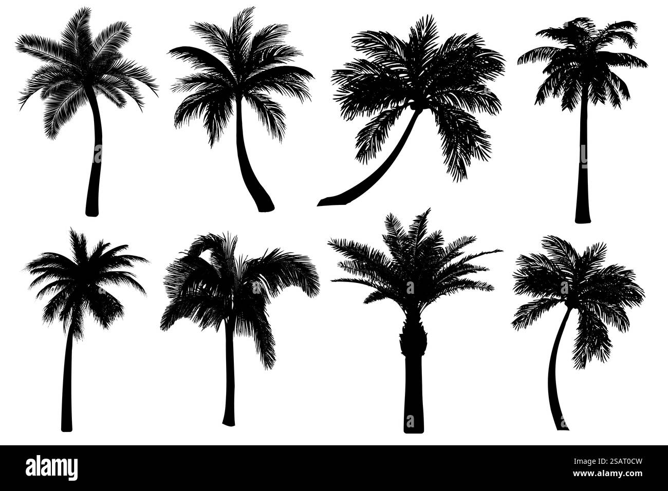 Sagome di palme isolate su sfondo bianco. Collezione di icone tropicali nere di alberi di cocco. Forme diverse di disegni di contorno estremamente dettagliati e realistici. Illustrazione vettoriale EPS10 Illustrazione Vettoriale