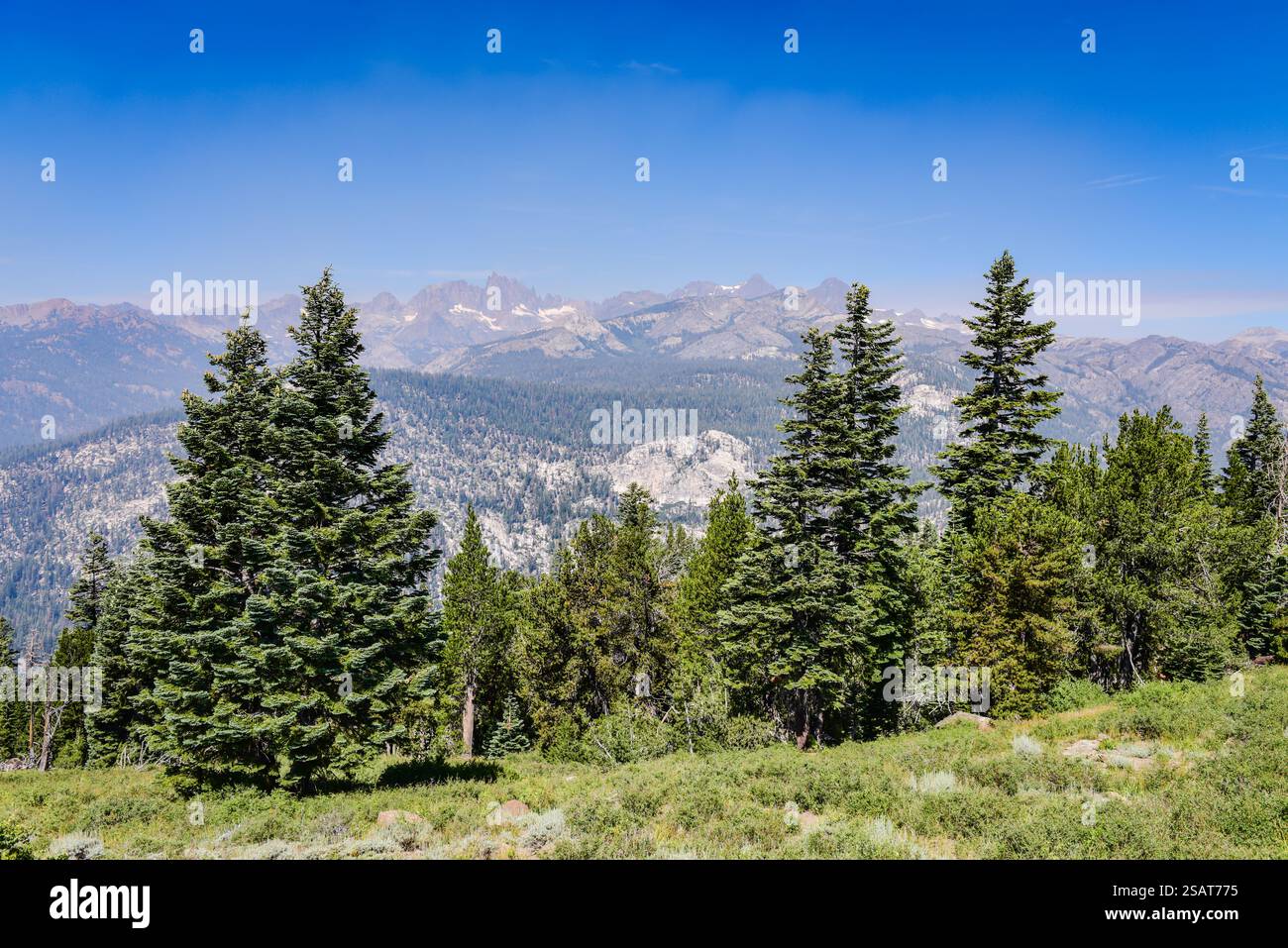 I minareti sono una serie di picchi frastagliati situati nel Ritter Range, un sub-range della Sierra Nevada nello stato della California. Sono facilmente vi Foto Stock