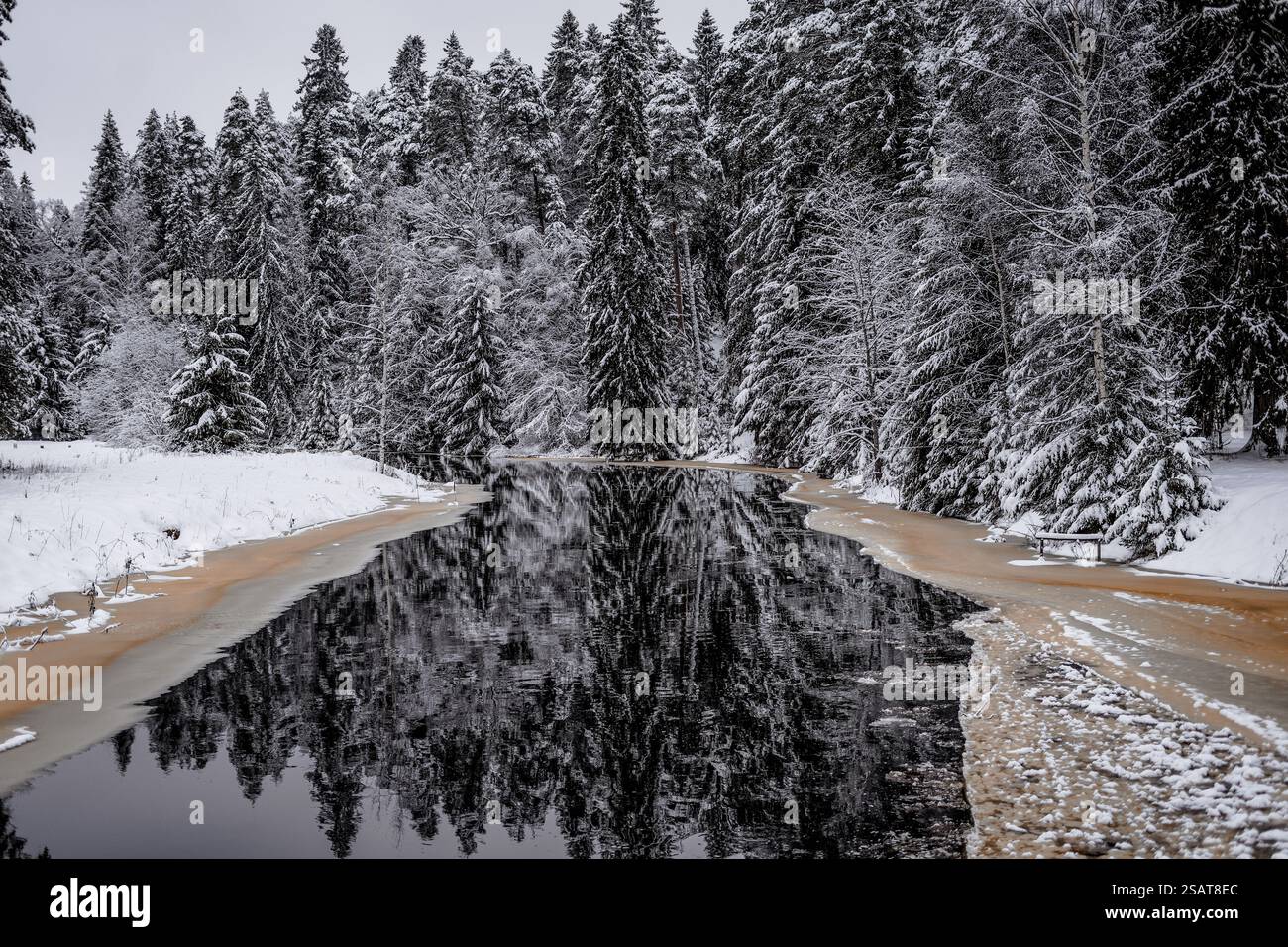 Paesaggio invernale con fiume ghiacciato e foresta innevata Foto Stock