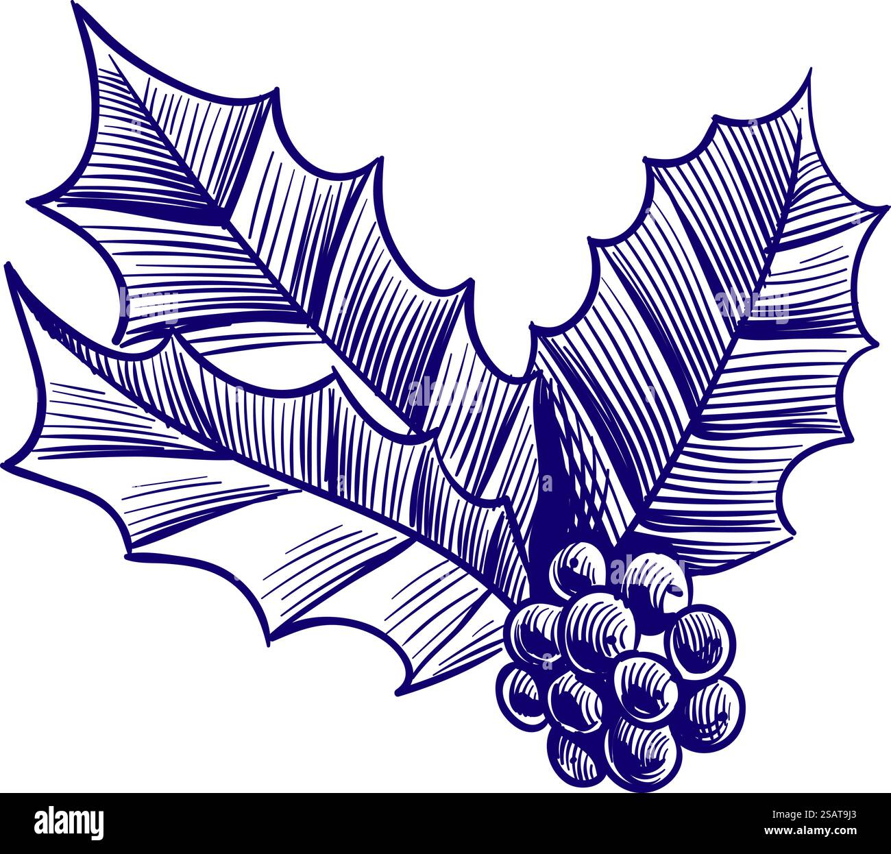 Schizzo ramo di Natale. Bacche di agnello natalizio retrò, pianta invernale sempreverde, oggetto decorativo disegnato a mano per le vacanze di Capodanno, vettore di foglie e bacche isolato su sfondo bianco illustrazione botanica. Schizzo ramo di Natale. Bacche di agnello natalizio retrò, pianta invernale sempreverde, oggetto decorativo disegnato a mano per le vacanze di Capodanno, illustrazione botanica isolata con vettore di foglie e bacche Illustrazione Vettoriale