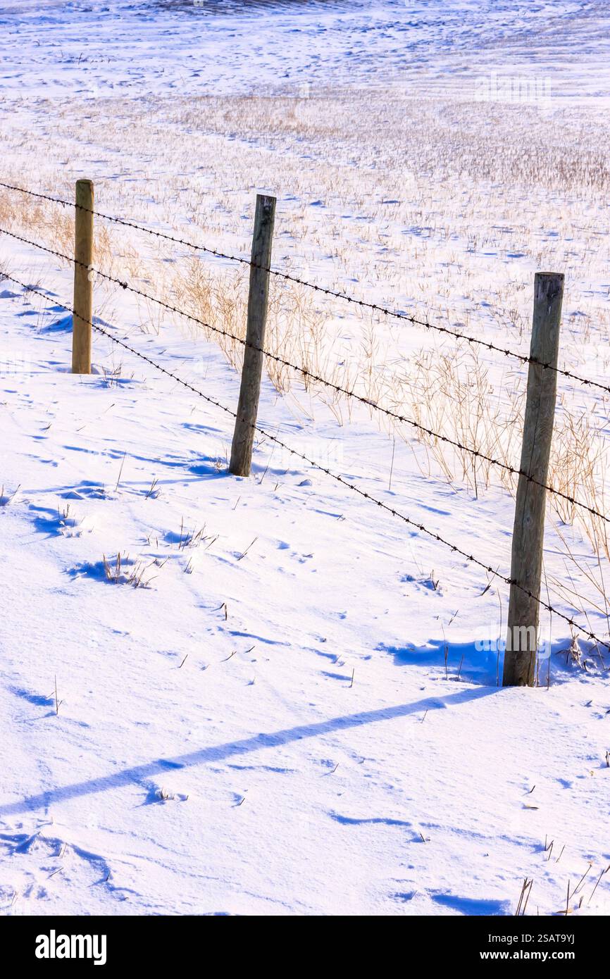 Una recinzione con filo spinato sopra di essa è nella neve. La recinzione è in un campo con neve a terra Foto Stock