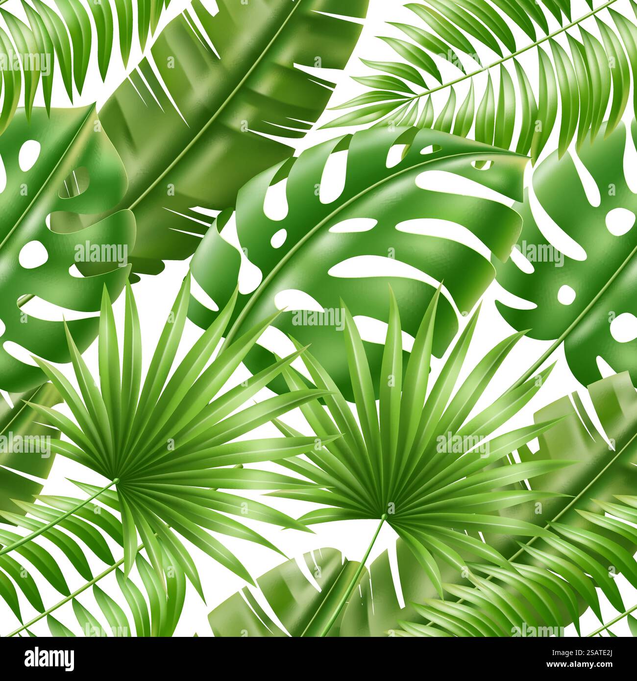 Foglie tropicali senza cuciture. Foglie esotiche di palme verdi, monstera realistica, piante di banane, elementi botanici 3d. Tessuto decorativo, carta da rivestimento, carta da parati. Stampa estiva, sfondo vettoriale. Foglie tropicali senza cuciture. Foglie esotiche di palme verdi, monstera realistica, piante di banane, elementi botanici 3d. Tessuto decorativo, carta da imballaggio. Stampa estiva, sfondo vettoriale Illustrazione Vettoriale
