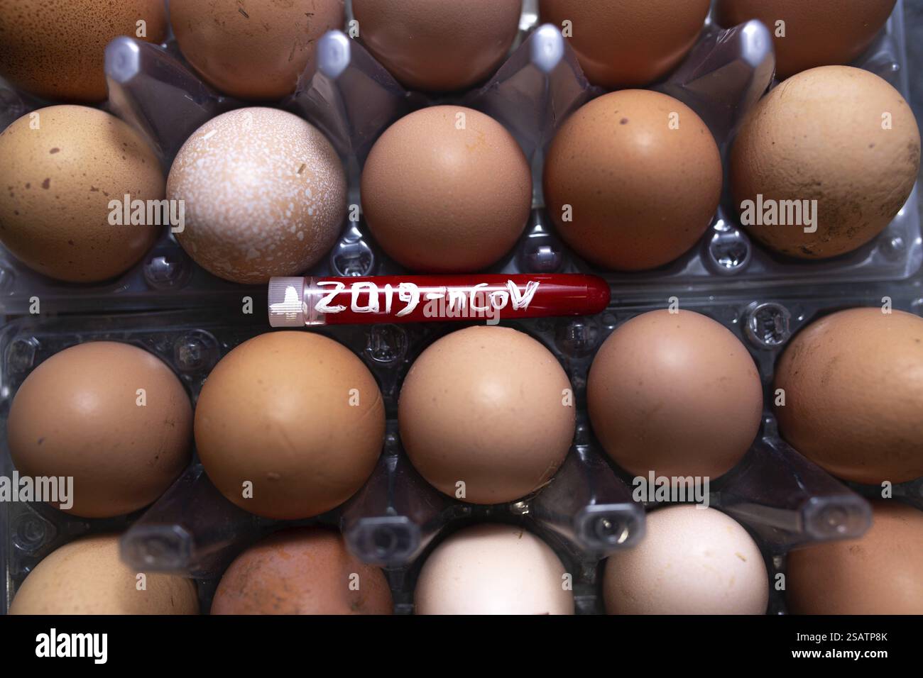 Una provetta etichettata SARS-CoV-2 sulle uova marroni in una scatola Foto Stock