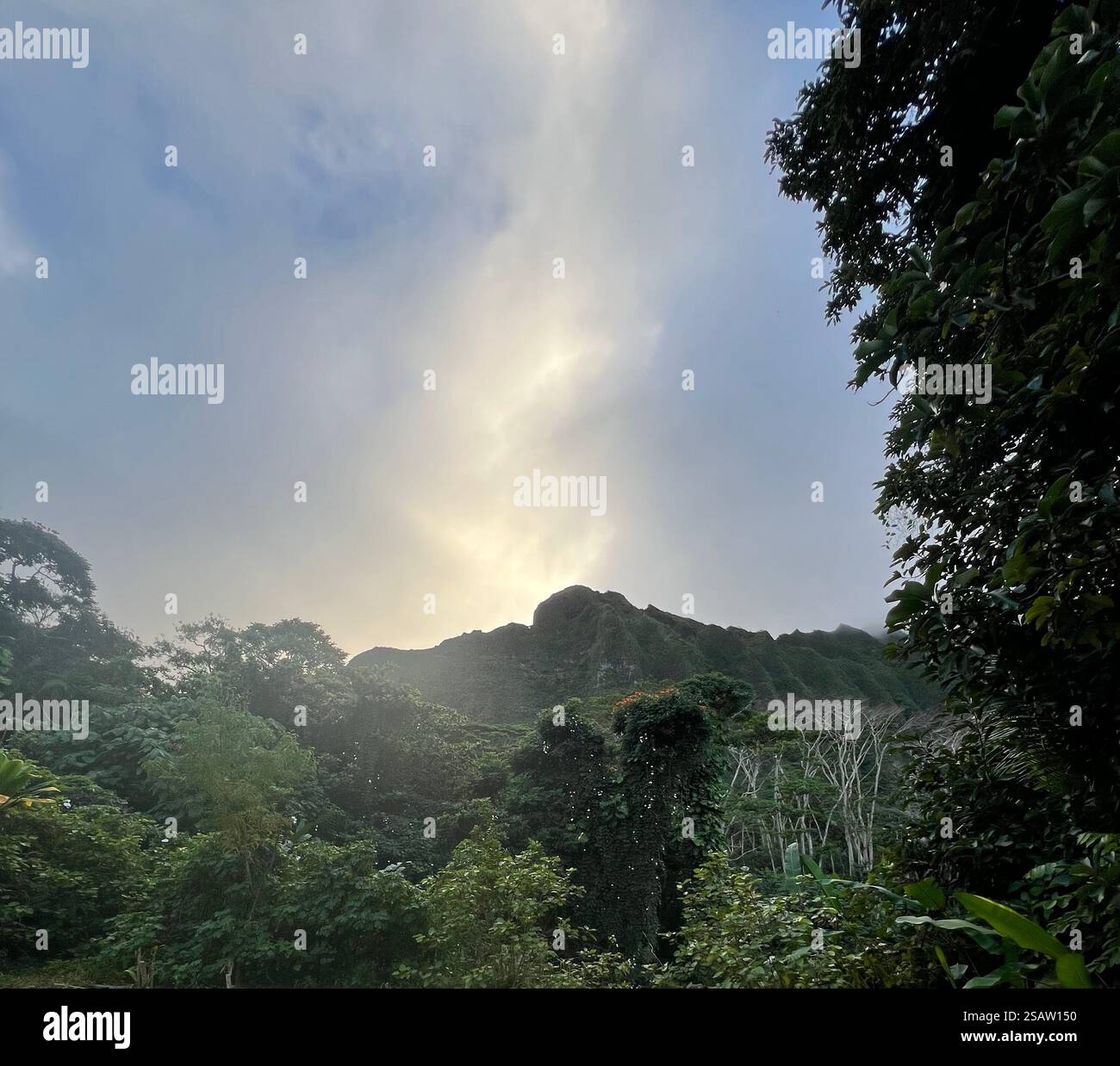 Maestose montagne hawaiane - Immagine stock catturata con smartphone