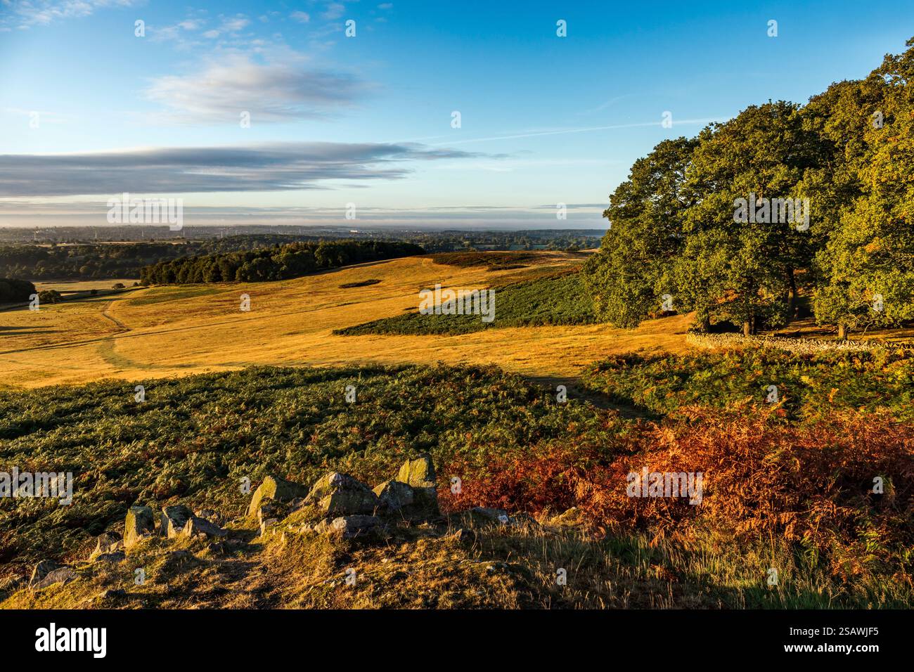 Leicestershire; Bradgate Park; guardando verso Leicester; Regno Unito Foto Stock