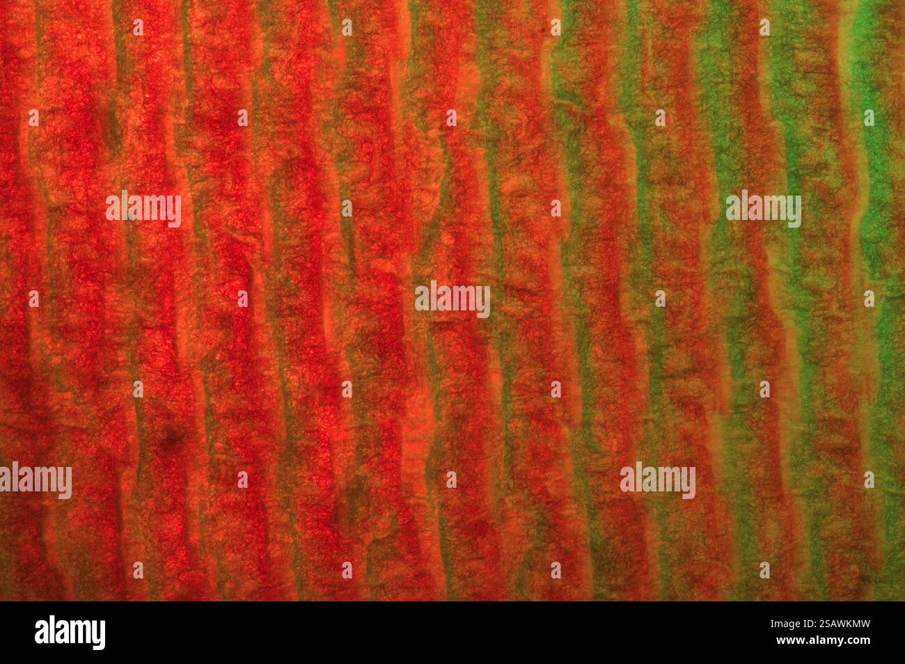Astratto di rosso e verde su una consistenza fibrosa Foto Stock