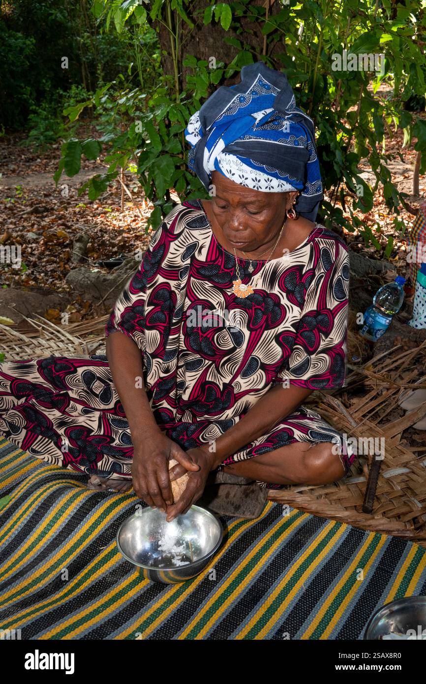 Africa Tanzania, Zanzibar, East Coast, Jambiani, tour culturale del villaggio, donna che grattugia carne fresca di cocco Foto Stock