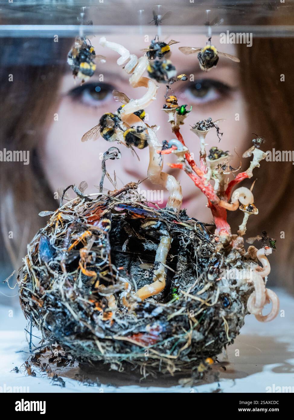 Londra, Regno Unito. 31 gennaio 2025. Tessa Farmer, FAIRIES IN A BIRD'S NEST (AFTER JOHN ANSTER FITZGERALD), 2024, Bird's Nest, Wasp Nest, wormshell, corallo, ossa di topo e toscaglie, spine di riccio, insetti, piume, plastica, carta, radici vegetali, £ 5.000,00 - Cure3 a Bonhams, Londra. Una mostra di vendita con opere originali commissionate da 117 artisti di spicco in corso dall'1 al 5 febbraio. Questa è la quinta edizione del progetto di raccolta fondi e la sua più grande fino ad oggi. Dalla prima edizione nel 2017 Cure3 è stato supportato da oltre 214 artisti e ha raccolto quasi 2 milioni di sterline per la ricerca curativa su Parkinso Foto Stock