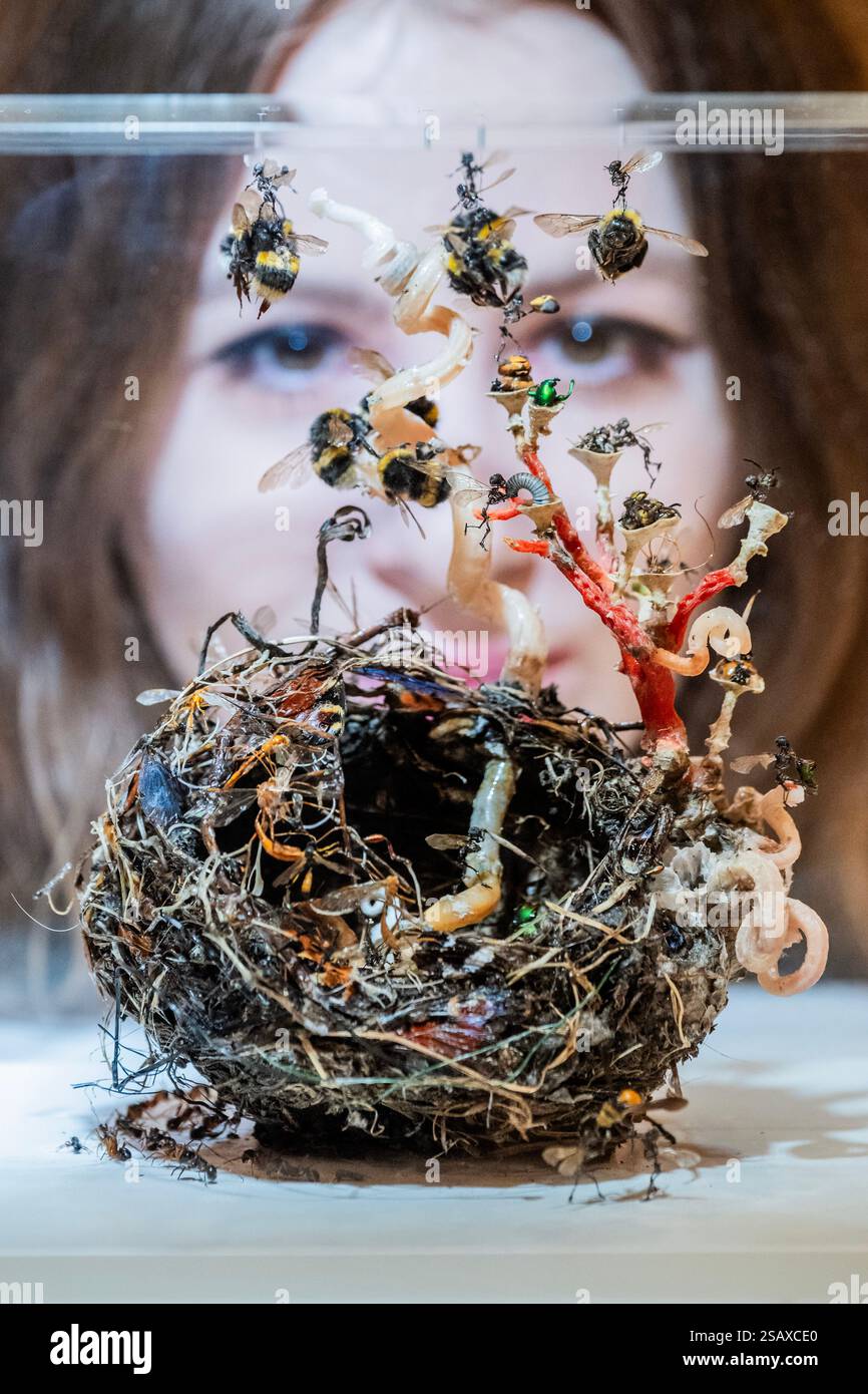 Londra, Regno Unito. 31 gennaio 2025. Tessa Farmer, FAIRIES IN A BIRD'S NEST (AFTER JOHN ANSTER FITZGERALD), 2024, Bird's Nest, Wasp Nest, wormshell, corallo, ossa di topo e toscaglie, spine di riccio, insetti, piume, plastica, carta, radici vegetali, £ 5.000,00 - Cure3 a Bonhams, Londra. Una mostra di vendita con opere originali commissionate da 117 artisti di spicco in corso dall'1 al 5 febbraio. Questa è la quinta edizione del progetto di raccolta fondi e la sua più grande fino ad oggi. Dalla prima edizione nel 2017 Cure3 è stato supportato da oltre 214 artisti e ha raccolto quasi 2 milioni di sterline per la ricerca curativa su Parkinso Foto Stock